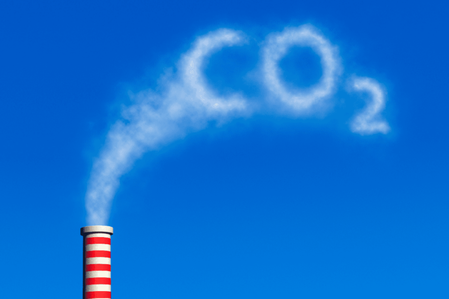 Carbon free: cosa significa e come diventare carbon free