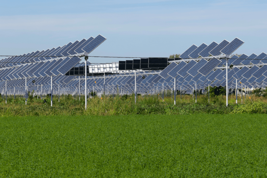 Decreto agrivoltaico innovativo